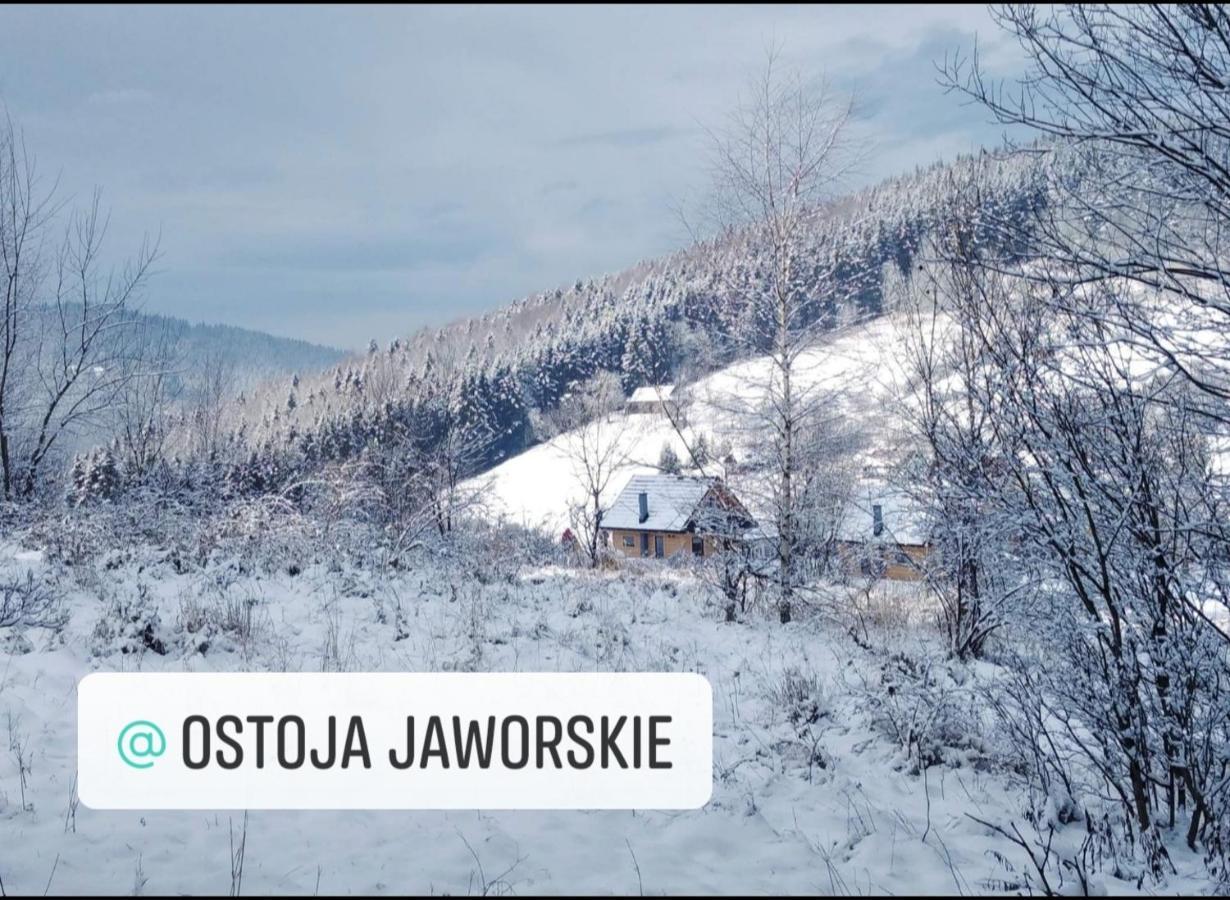 Ostoja Jaworskie Stryszawa Kültér fotó